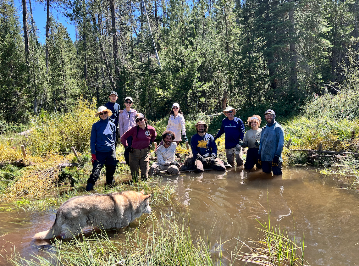 Child’s Meadows South: Restoring the Headwaters of a Critical Salmonid Watershed Through PALS-BDA Restoration