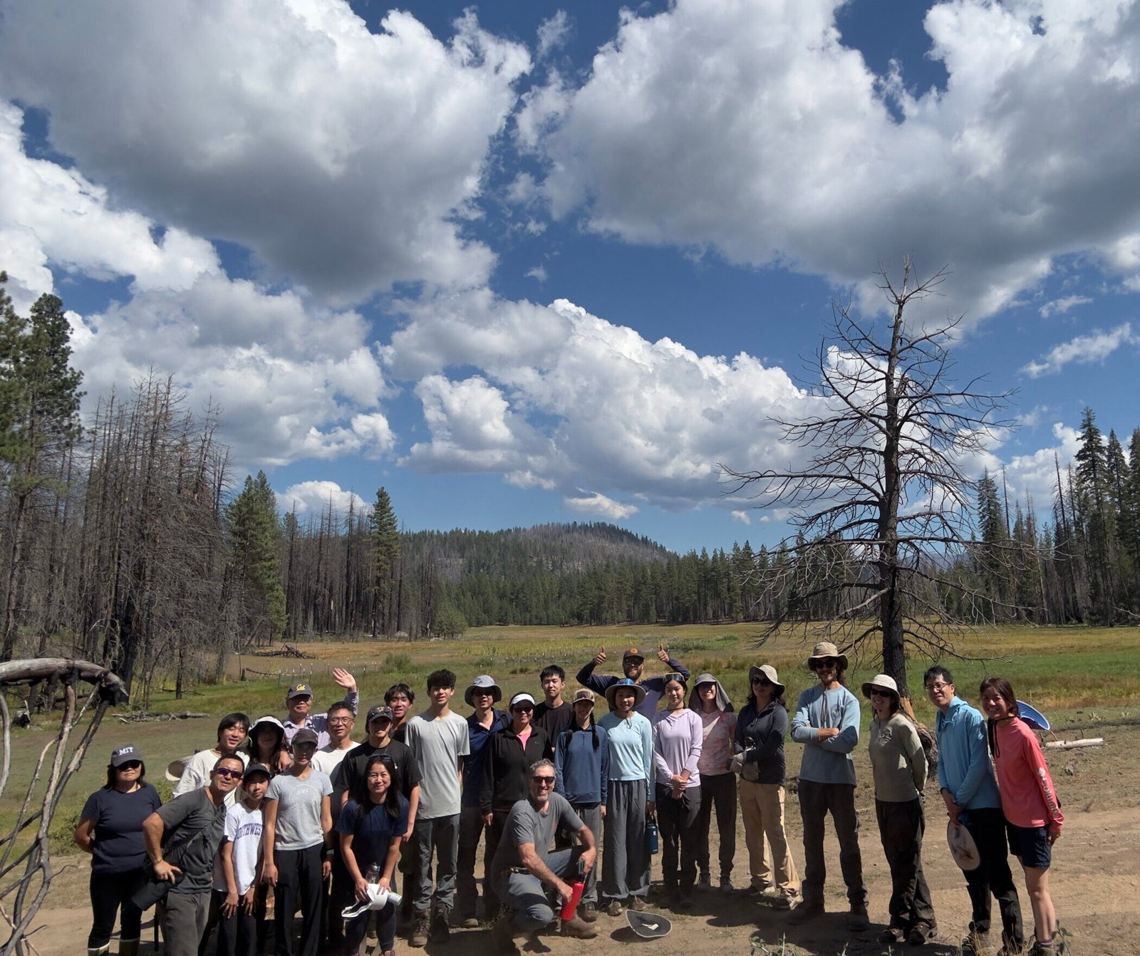 Transforming Degraded Mountain Meadows into Remarkable Carbon Sinks: Restoring Deer Creek Headwaters at Child’s Meadows North