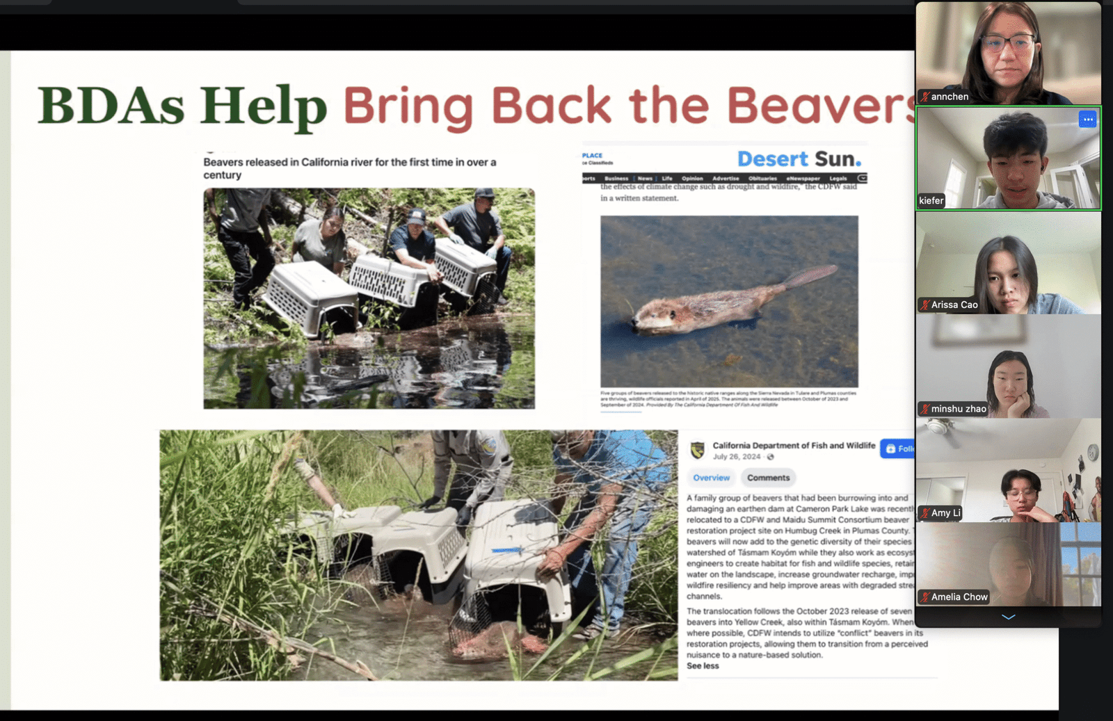 Reflection / Educational Webinar