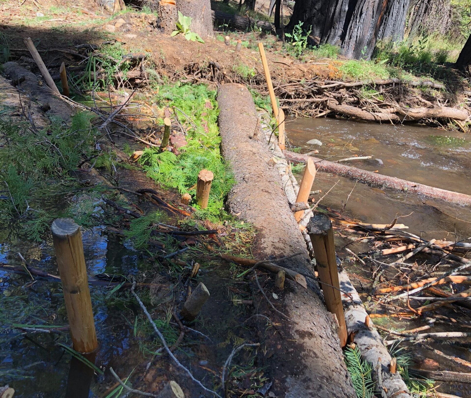 How to Build Beaver Dam Analogs